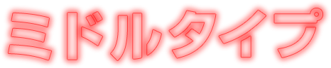 ミドルタイプ